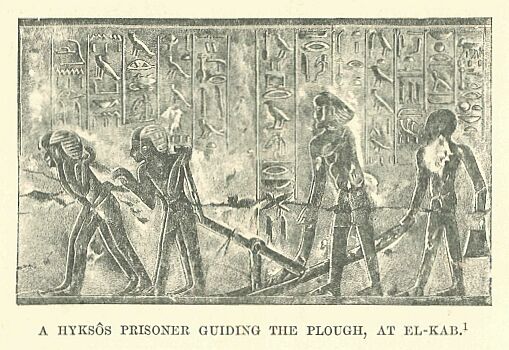 080.jpg a Hyks�s Prisoner Guiding the Plough, at El-kab 
